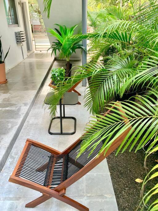 Groveo6 10 Minutes From The Beach 迈阿密 外观 照片