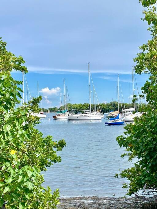 Groveo6 10 Minutes From The Beach 迈阿密 外观 照片